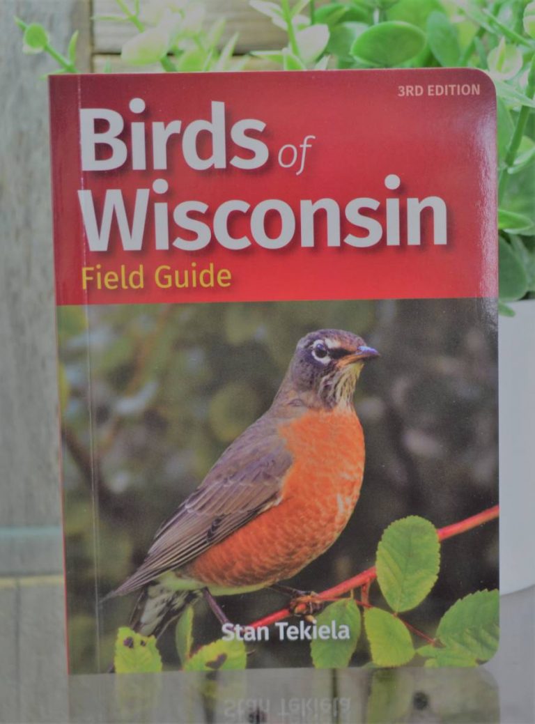 Birds of Wisconsin Field Guide | Clam Lake Junction
